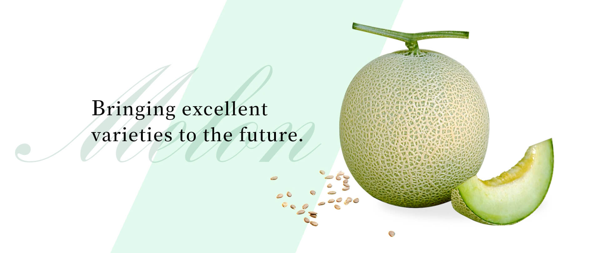 Bringing excellent varieties to the future.
