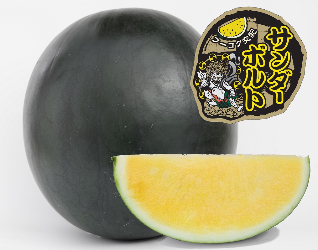 サンダーボルト(10粒入り)