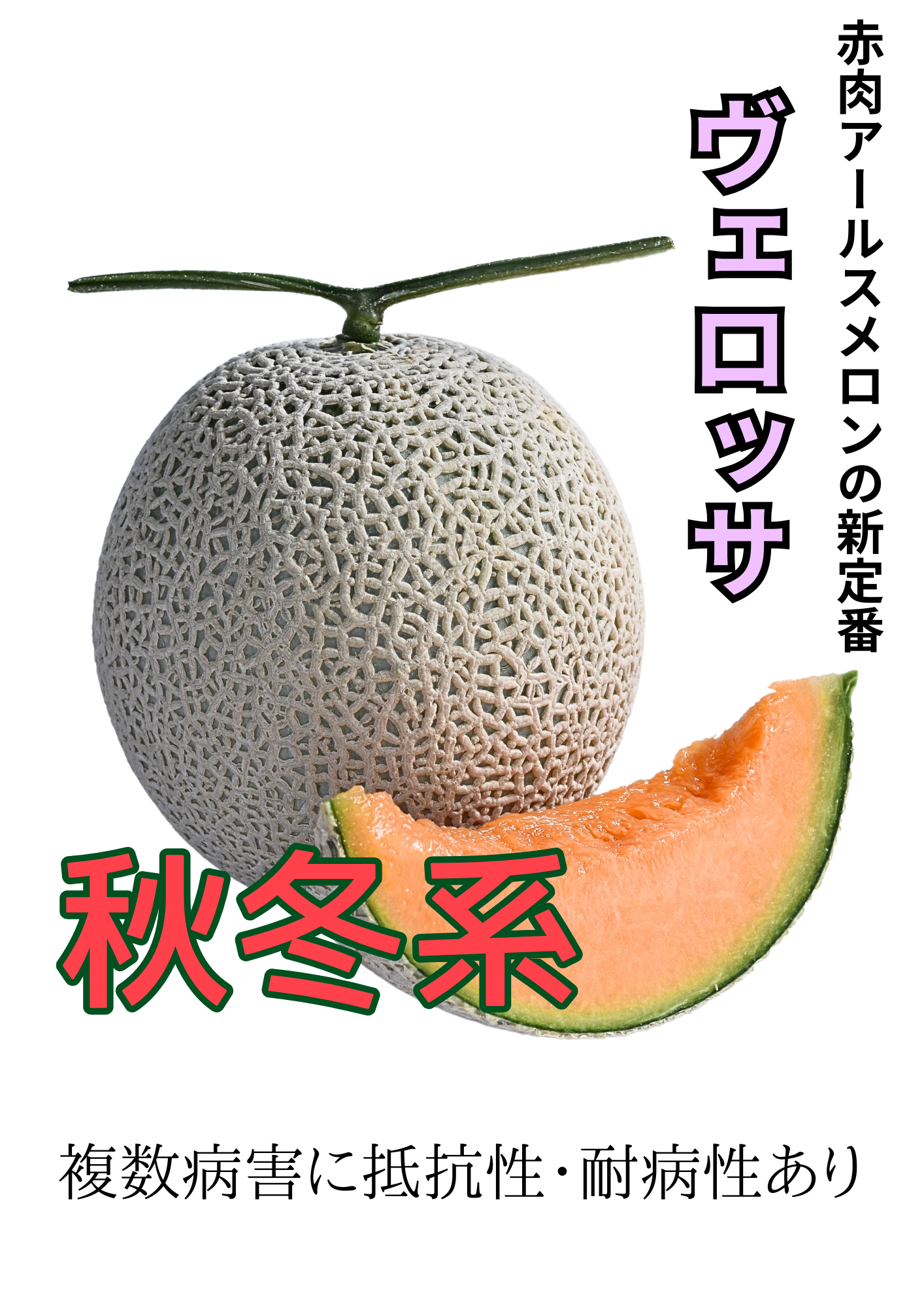 ヴェロッサ 秋冬系（10粒）