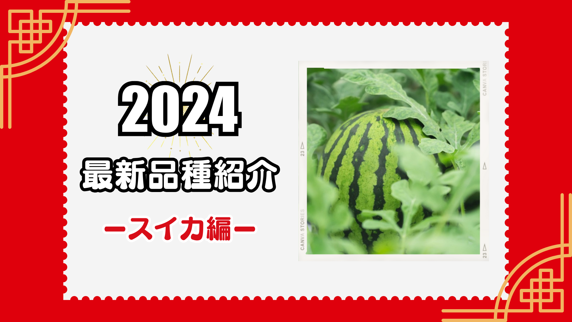 【スイカ】2024年度向け新品種紹介