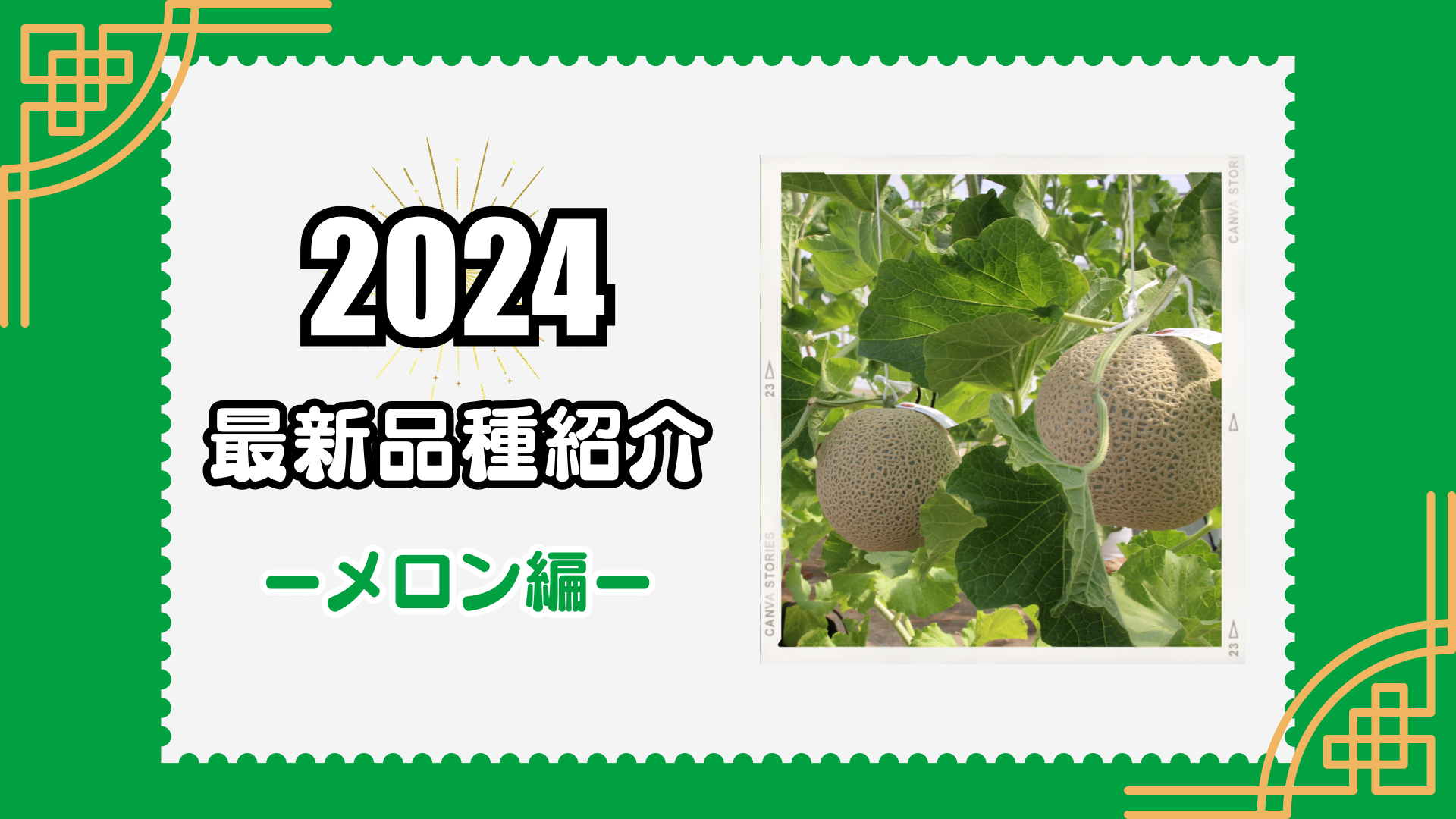 【メロン】2024年度向け新品種紹介