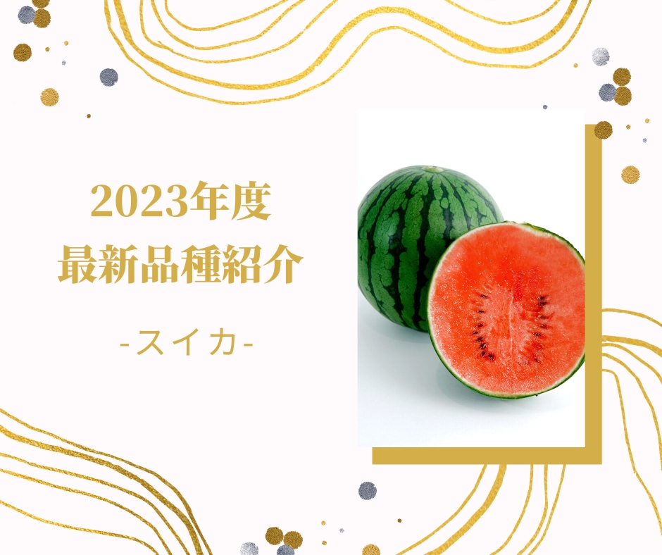 【スイカ】2023年度向け新品種紹介