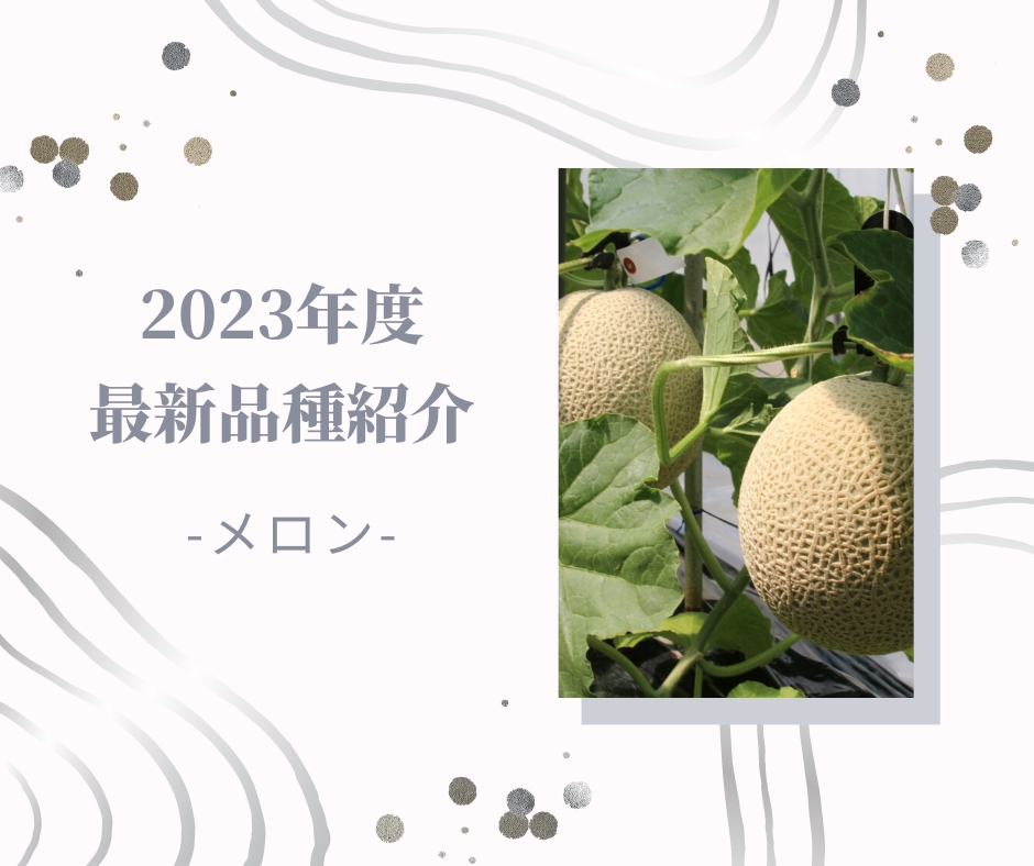 【メロン】2023年度向け新品種紹介