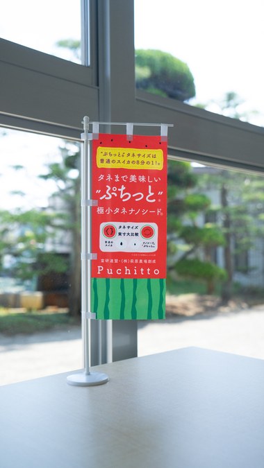 圃場に立てられたぷちっとののぼり